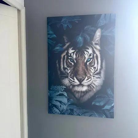 Cosy Apartmán
